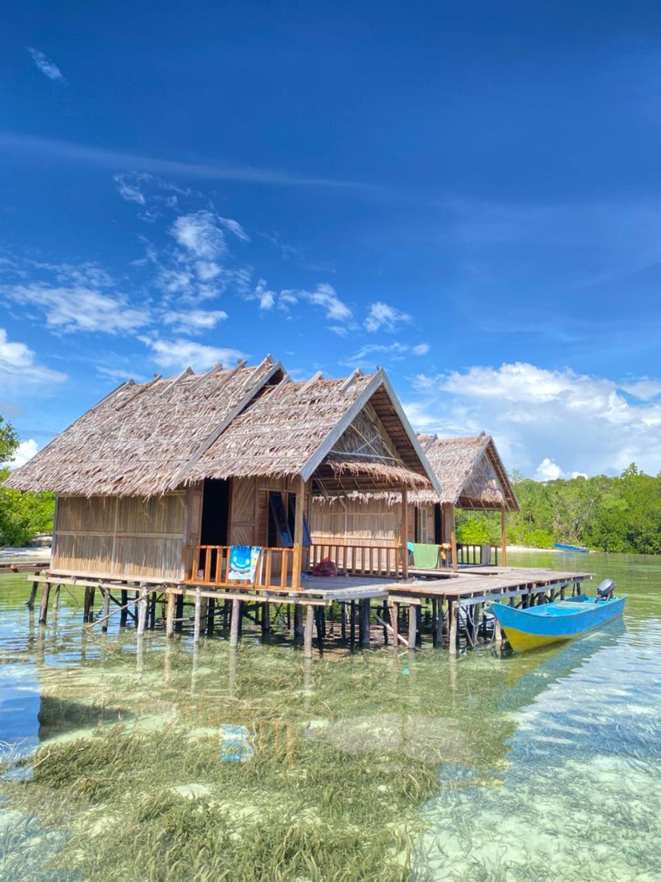 Homestay Senjahomestayrajaampat Fam
