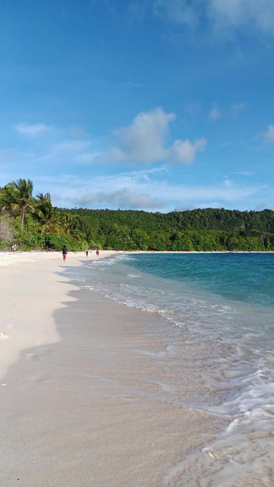 Senjahomestayrajaampat Homestay