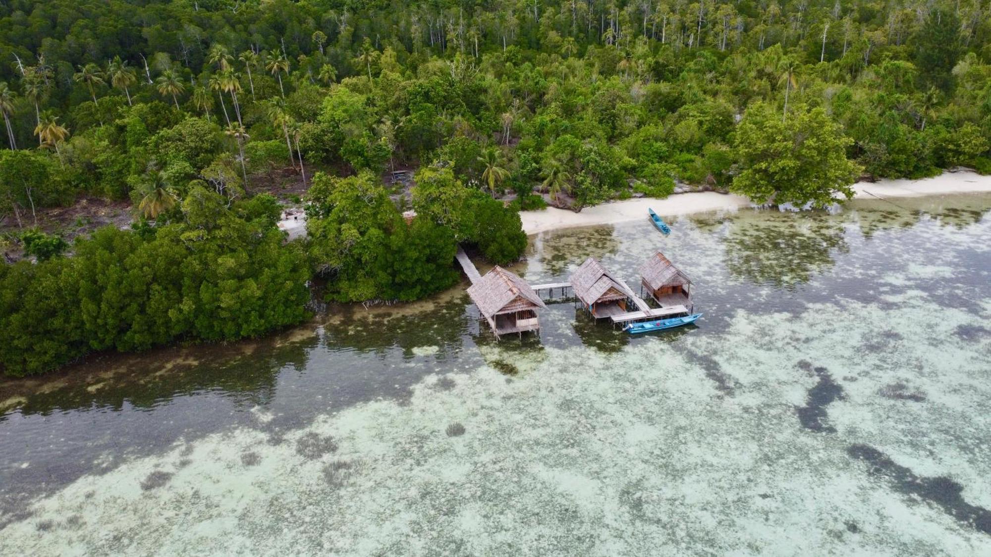 Homestay Senjahomestayrajaampat Fam