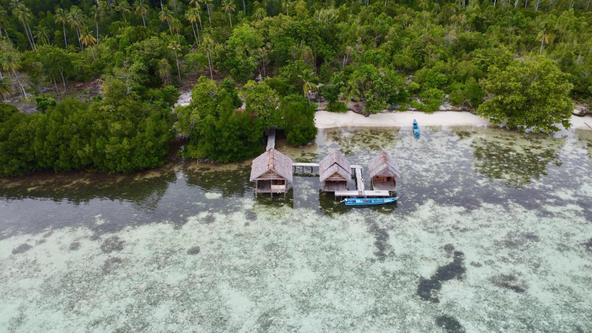 Senjahomestayrajaampat Homestay Fam