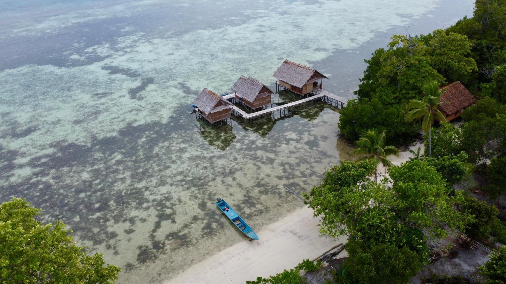Senjahomestayrajaampat Fam