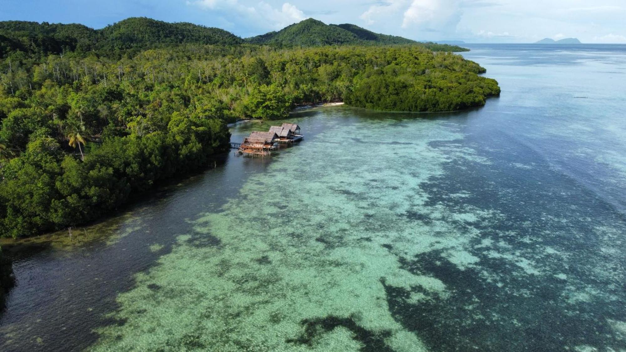 Senjahomestayrajaampat Homestay